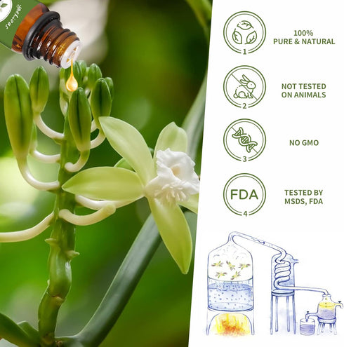 yethious Vanilla Essential Oils for Diffuser & Aromatherapy - Pure Vanilla Oil for Skin Gift Oils, 10ML