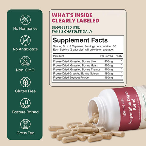 MORNING RISE 90 Count Regeneratively Raised Beef Organs Capsules, Grass Fed & Pasture Raised, Gluten-Free, Non-GMO