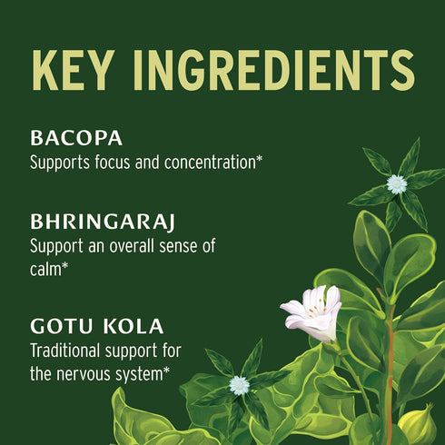 Banyan Botanicals Mental Clarity, Organic Supplement with Gotu Kola & Bacopa, 90 Tablets