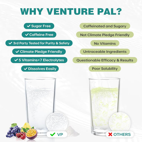 Venture Pal Sugar Free Electrolyte Powder Packets - Liquid Daily IV Drink Mix for Rapid Hydration, 16 Sticks