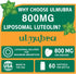 800 MG Liposomal Luteolin Supplement - Maximum Absorption, Premium Antioxidant Supplement for Brain & Overall Well-being, 60 Softgels - 30-Day Supply