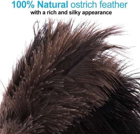 Natural Black Ostrich Feather Duster - 2 Packs, Car Duster for Interior/Exterior Cleaning, Soft and Fluffy (Black)
