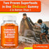 Turmeric Gummies for Adults and Kids - Max Strength Turmeric and Ginger Supplement, Vegan Organic Natural for Overall