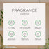 Air Wick Automatic Air Freshener Spray Refill, 1ct, Apple Cinnamon, Essential Oils for Odor Neutralization