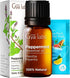 Gya Labs Peppermint Essential Oil for Diffuser & Hair, 0.34 Fl Oz, 100% Pure Natural Peppermint Mint Oil