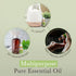 Pranarom USDA Organic Peppermint Essential Oil (30ml), 100% Pure for Aromatherapy, Diffuser & Massage