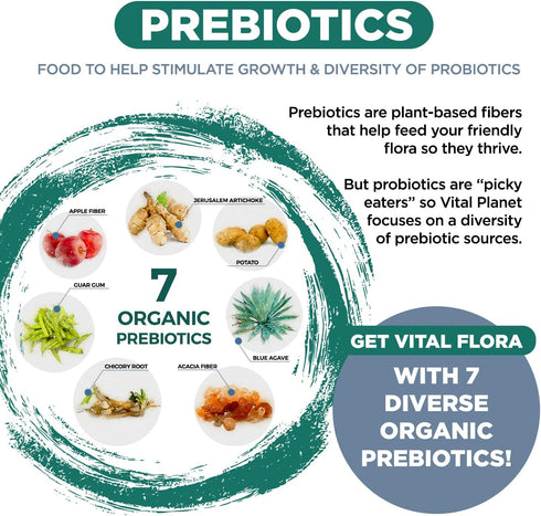 Vital Planet Vital Flora Immune Support Probiotic, 60 Billion CFU, 30 Capsules