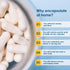 Capsuline Size 0 Empty Gelatin Capsules - Clear, 100 Count, Gluten Free, Kosher, Non-GMO Certified, Pure Bovine Pill