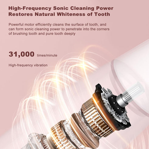 Miriam Song T501 3 Electric Toothbrush for Adults, Rechargeable Ultra Fine Soft Bristled Toothbrush, with Cleaning