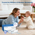MomMed 15 Pack Tests,99% Early Detection Pregnancy Test, HCG Pregnancy Test Strips, Individually-Sealed Pregnancy