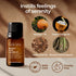 Set Set 2x0.34 oz Bedtime & Brain Booster Essential Oils for Diffuser - Aromatherapy Grade Essential Oils - fl - Gya
