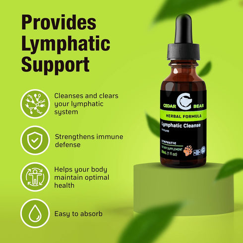 Cedar Bear - Lymphatic Cleanse Immune Support Supplement, Alcohol-Free Lymphatic Drainage Drops, 1 fl oz