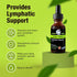 Cedar Bear - Lymphatic Cleanse Immune Support Supplement, Alcohol-Free Lymphatic Drainage Drops, 1 fl oz