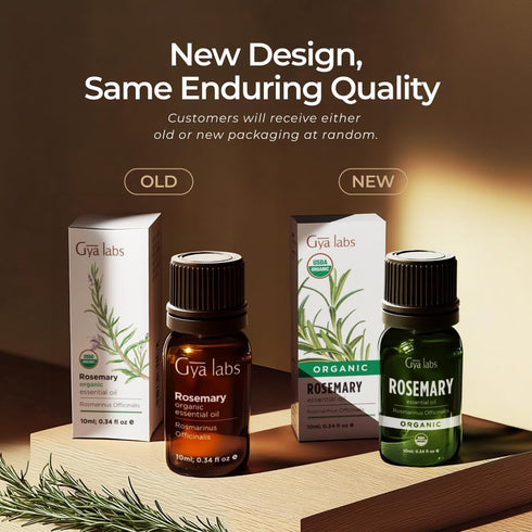 Gya Labs USDA Certified Organic Rosemary Essential Oil, 100% Pure Natural Oil for Hair, Skin & Diffuser