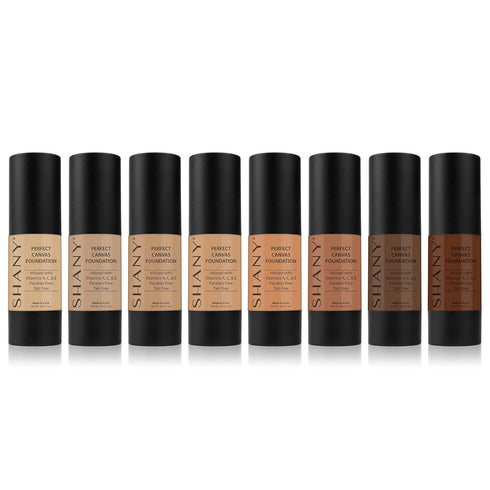 SHANY Perfect Canvas Liquid Foundation, Paraben Free/Talc Free/Oil Free, 30ml - DC3