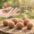 Novabright 100 Pack 1.4 Inch Cork Massage Ball Mini Myofascial Release Pressure Point Ball Lightweight Portable Deep