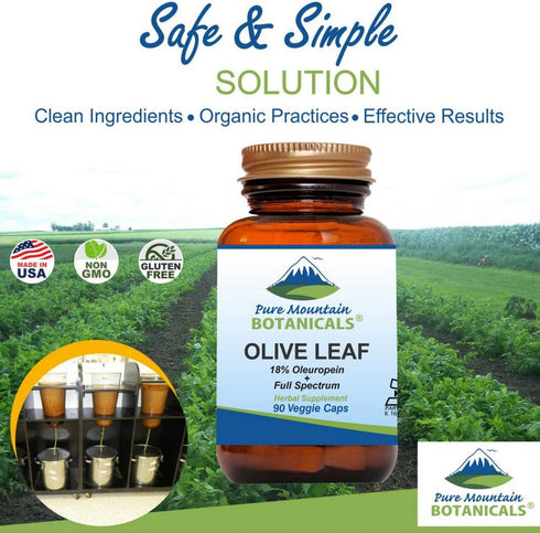 Pure Mountain Botanicals Olive Leaf Extract Capsules - 400mg Organic Olive Leaf, Kosher Vegan, 60 Count