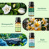 Set 6x10ML Spring Fragrance Essential Oil - Gardenia, Honeysuckle, Rain, Rose, Fresh Cut Grass, Freesia for Diffusers