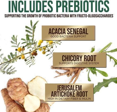 Daily Probiotics and Prebiotics 60 Billion CFU - 10 Diverse Strains for Digestion, 60 Capsules for Men and Women