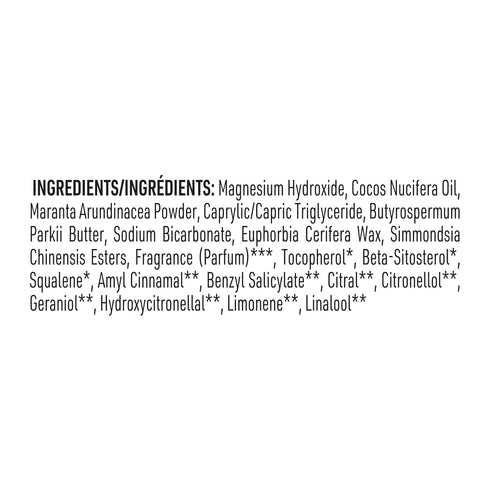 Schmidt's Aluminum-Free Vegan Deodorant Fresh Rain & Birch, 2 Count, 24 Hour Odor Protection, 2.65 oz, Natural