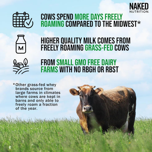 Naked Vanilla Whey Protein 1Lb: All Natural Grass Fed Whey Powder with Vanilla & Coconut Sugar, 12 Servings, GMO-Free