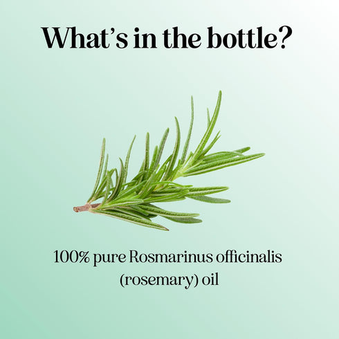Pure Rosemary Oil - 100% Pure Undiluted Essential Oil with Dropper for Aromatherapy & DIYs - 1 Fl Oz