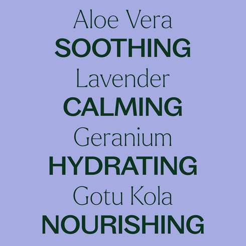 Plant Therapy Lavender Aloe Jelly 4 oz, All Natural with 100% Pure Lavender Essential Oil