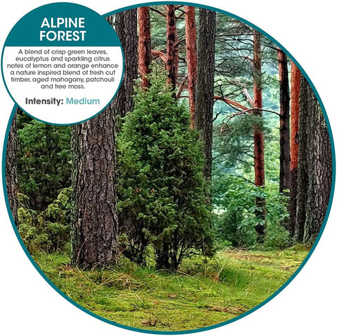 Fresh Products myfreshe Plug-in Air Freshener, No Heat, No Glass, Dry Fragrance Refills, Alpine Forest 2 pack