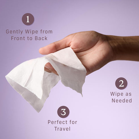 Niches & Nooks 45 pH Balanced Aloe Vera Feminine Flushable Wipes for Women with Sensitive Skin Soft Clementine Odor