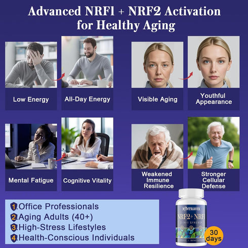 Xontravix NRF1 NRF2 1500mg CoQ10, 60 (1 & Supplement | Dual Activator with Curcumin, Trans Resveratrol & Ashwagandha |