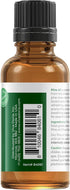 Viva Doria 100% Pure Pine Essential Oil - Undiluted, Food Grade, Hungarian Pine Oil - 30 mL (1 Fluid Ounce)