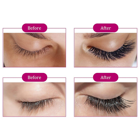 Volume Lash Extensions D Curl 12D Premade Fans 0.07 Mixed Tray Eyelashes Extension Individual Lashes (12D-0.07-D,