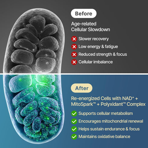 SYZY GENICS 1600mg CoQ10, 60 NAD+ Supplement Extra Strength - Liposomal NMN Alternative with Resveratrol, Urolithin A
