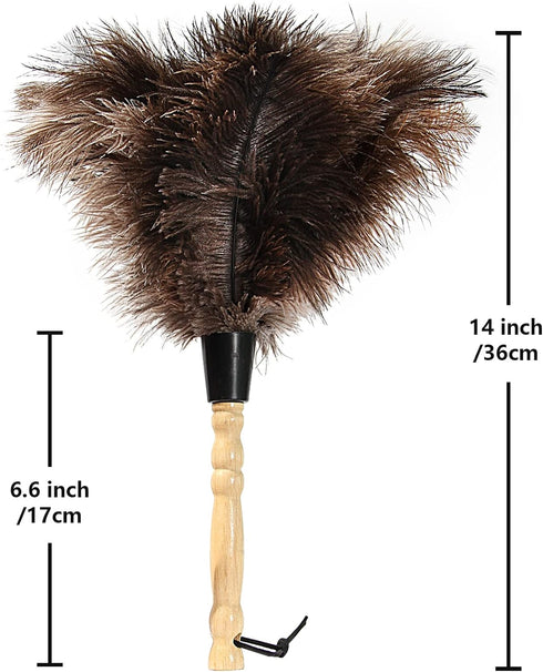 Ostrich Feather Duster - 14 inch Genuine Ostrich Feathers with Wooden Handle, Eco-Friendly Handheld Cleaning Supplies