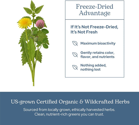 Eclectic Herb Lymphatic & Blood Cleanse | Freeze Dried Fresh Whole Herbs, Naturally Concentrated | 45 Count