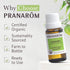 Pranarom USDA Certified Organic Lavender Essential Oil (15ml), 100% Pure Therapeutic Grade for Aromatherapy