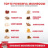 Organic Mushroom Powder Extract - Superfood 10 Supplement, 100% Pure USDA Immunity Booster, 60 Grams