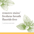 oz, 4.7 Burt's Bees, Toothpaste Fluoride Free Purely White Zen Peppermint, Ounce