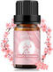Yethious Cherry Blossom Essential Oils for Diffuser & Aromatherapy - Pure Cherry Blossom Oil - 10ml