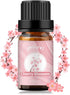Yethious Cherry Blossom Essential Oils for Diffuser & Aromatherapy - Pure Cherry Blossom Oil - 10ml