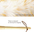 Lambs Wool Duster for Cleaning, 16'' Natural Feather Duster with Solid Wooden Handle for Window Blinds, Furniture