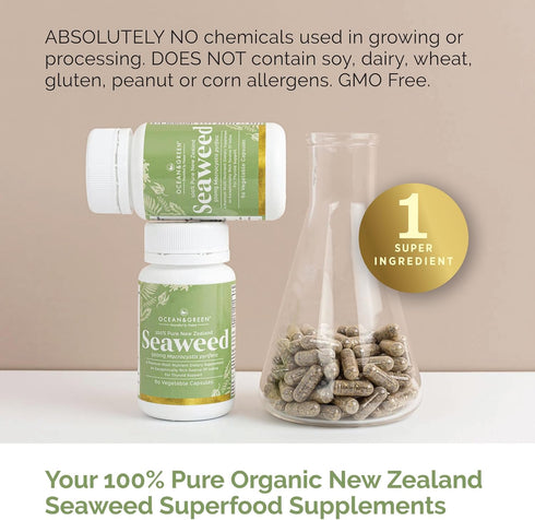 Seaweed Kelp Supplements from New Zealand | 100% Pure Organic & Natural - Multi-Nutrient & Thyroid Support - 60