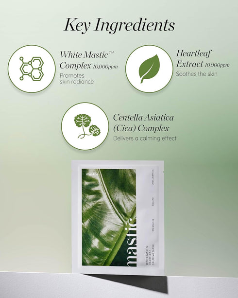 White Mastic Face Mask (Heartleaf Calming, 4 pc) - Premium Korean Skin Care for Soothing & Deep Moisturization