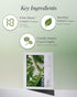 White Mastic Face Mask (Heartleaf Calming, 4 pc) - Premium Korean Skin Care for Soothing & Deep Moisturization