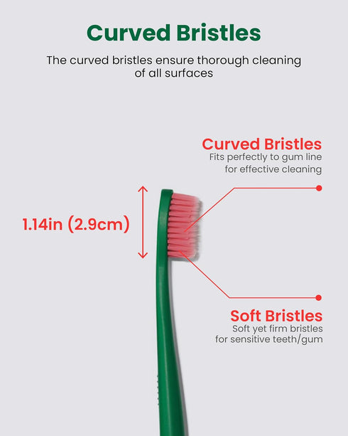 Euthymol Toothbrush, Regular, 6 Count, Curved Soft Bristles for Sensitive Teeth, Gentle Cleaning for Family