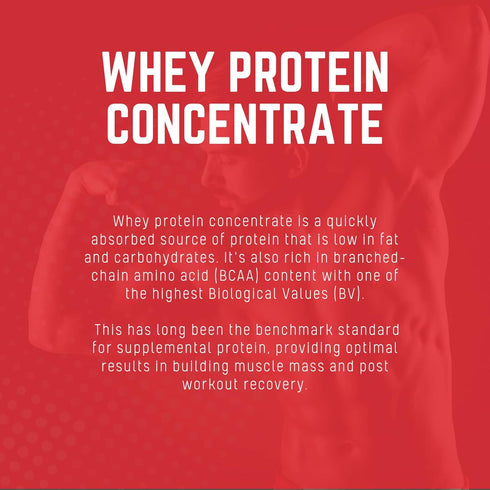 Purus Labs MYOWHEY Protein Powder, 25 Servings, Chocolate Ice Cream, 2lb