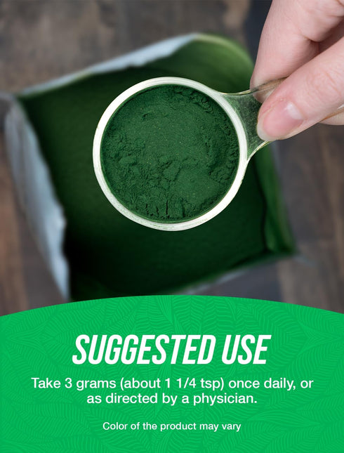 BulkSupplements.com Chlorella Powder - Green Superfood, Vegan & Gluten Free - 500g (1.1 lbs)