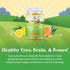 Kids DHA Omega 3 Gummies - Delicious Fish Free DHA Kids Omega 3 Gummies with Vegetarian Omega 3 6 9 for Vision, Brain &