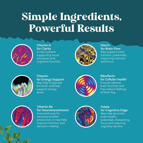 Advanced Nootropics Brain Support Supplement - 30 Servings | Synergetic Mental Energy & Focus | Cognitive Enhancement