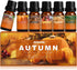 Autumn Fragrance Oil Set, Premium Fall Essential Oils for Diffuser and Candle Making - Pumpkin Spice, Cinnamon, and More